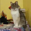 Отзыв от Элла Павлова